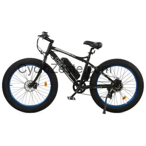 Ecotric Cheetah avis et fiche technique